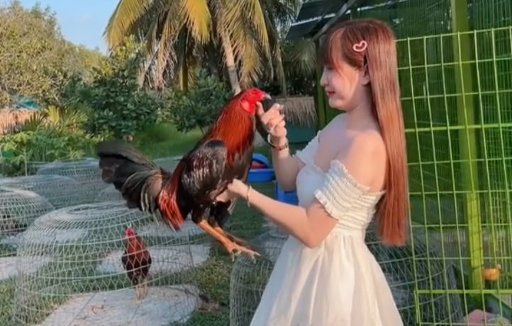 Idol Hưng cần thơ